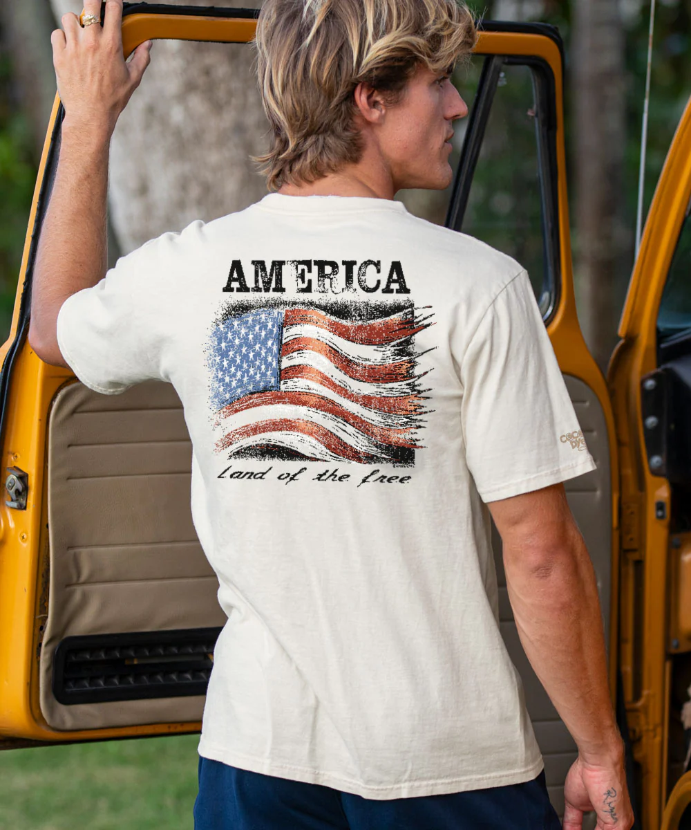 American Flag - Coconut Dyed Short Sleeve Crewneck T-Shirt - Image 2