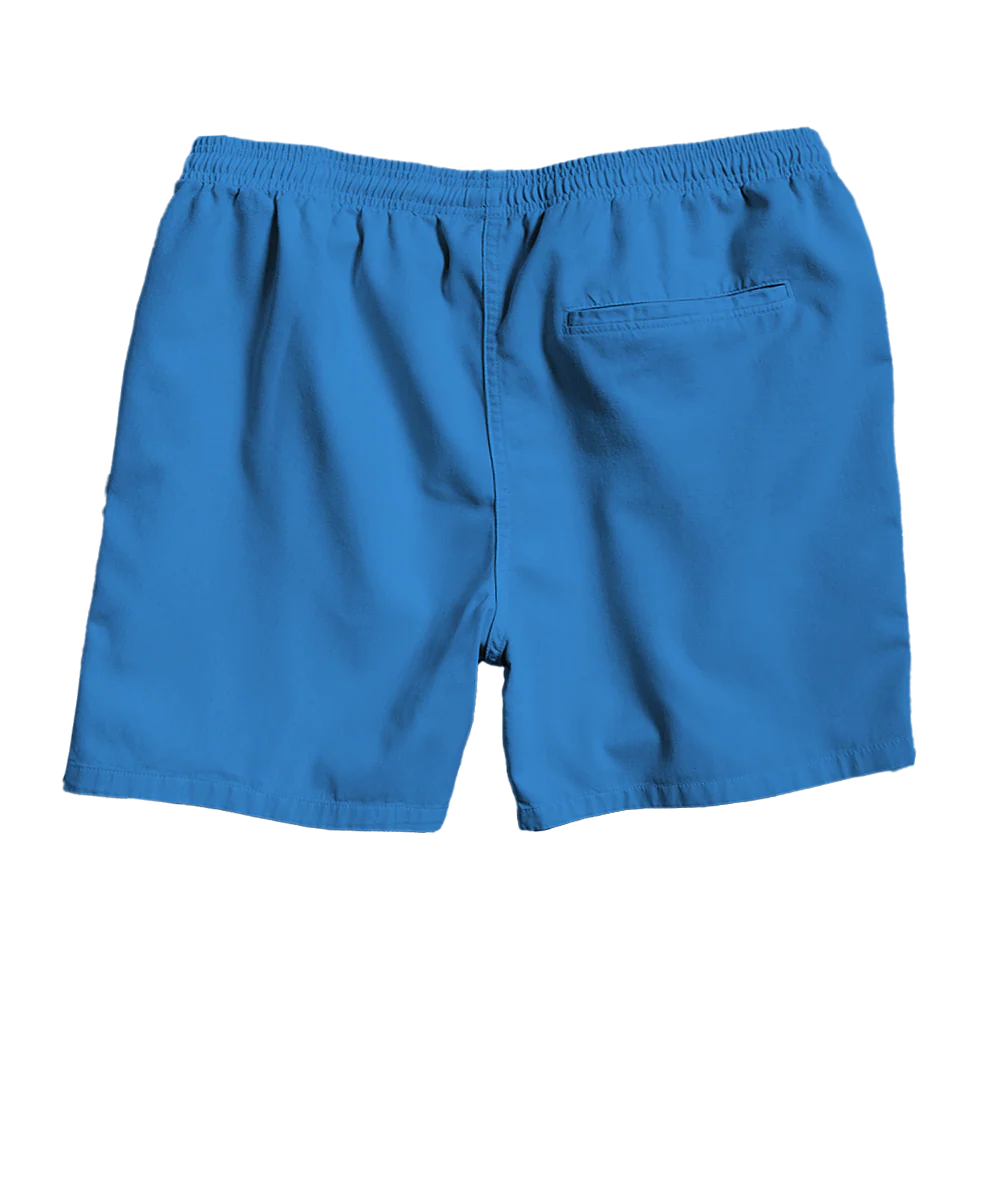 Blue Hawaii Dyed Crazyshorts® Twill Shorts - Image 4